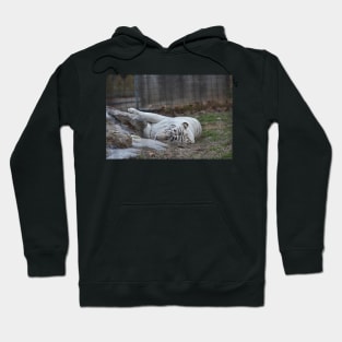 White Tiger Hoodie